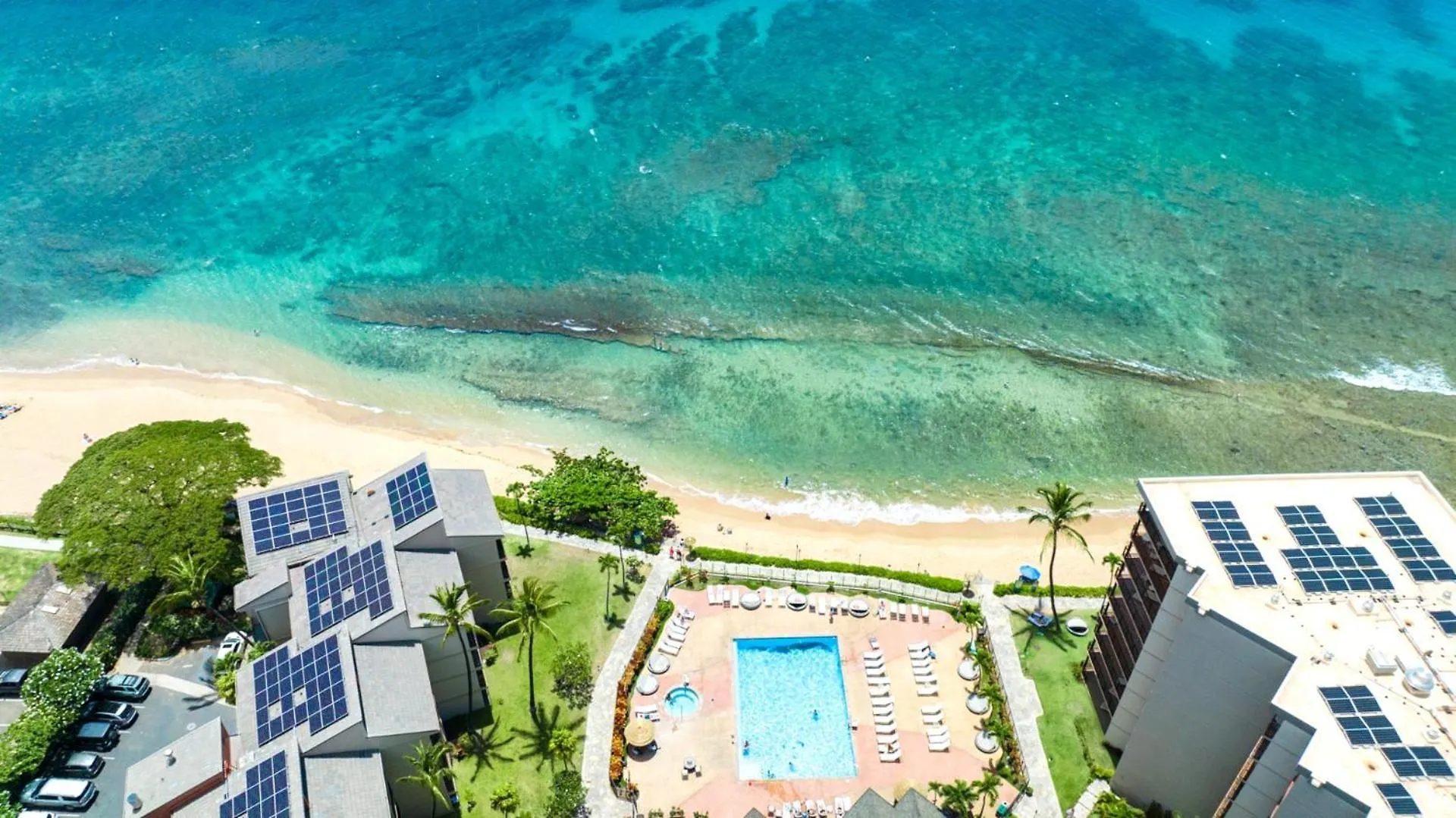 Kbm Resorts Free Car Kaanapali Shores Ks-155 Ground Floor Steps To Pool And Beach