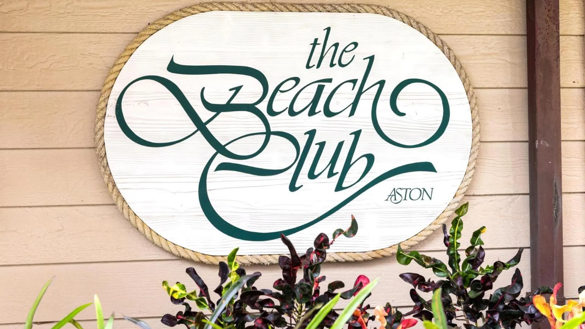 Kbm Resorts Free Car Kaanapali Shores Ks-155 Ground Floor Steps To Pool And Beach
