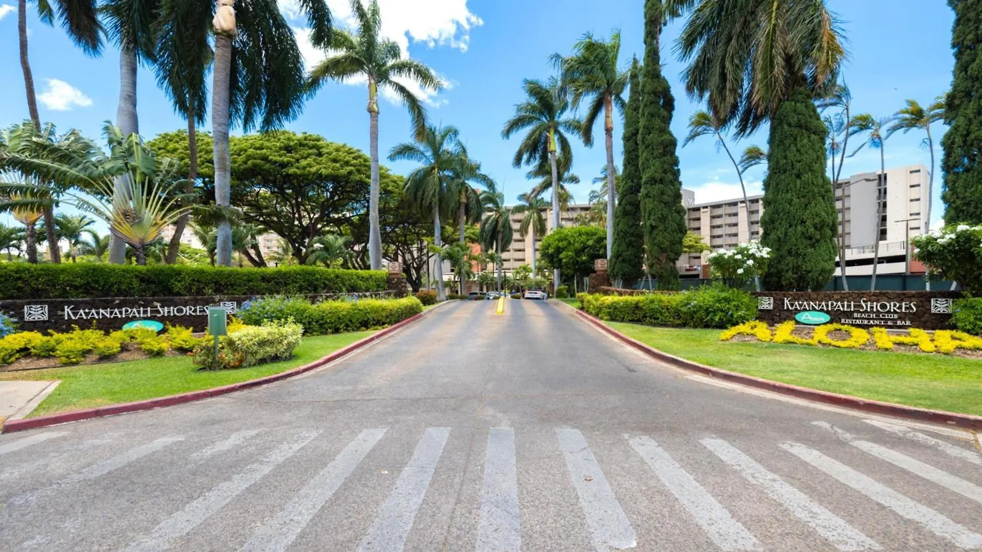 Kbm Resorts Free Car Kaanapali Shores Ks-155 Ground Floor Steps To Pool And Beach