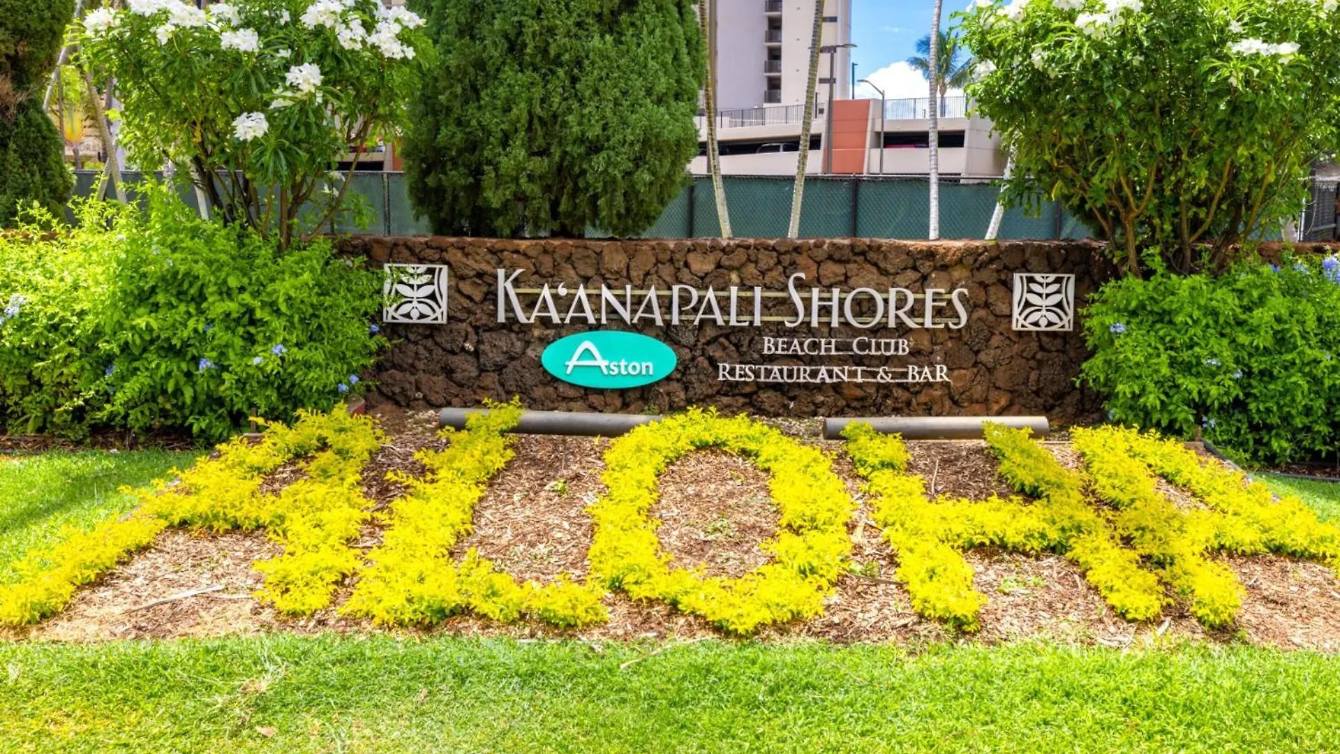 Apartment Kbm Resorts Free Car Kaanapali Shores Ks-155 Ground Floor Steps To Pool And Beach